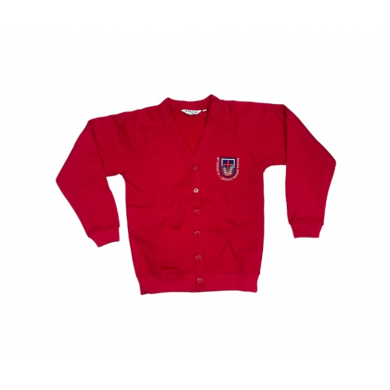 St Cadocs Primary School Cardigan